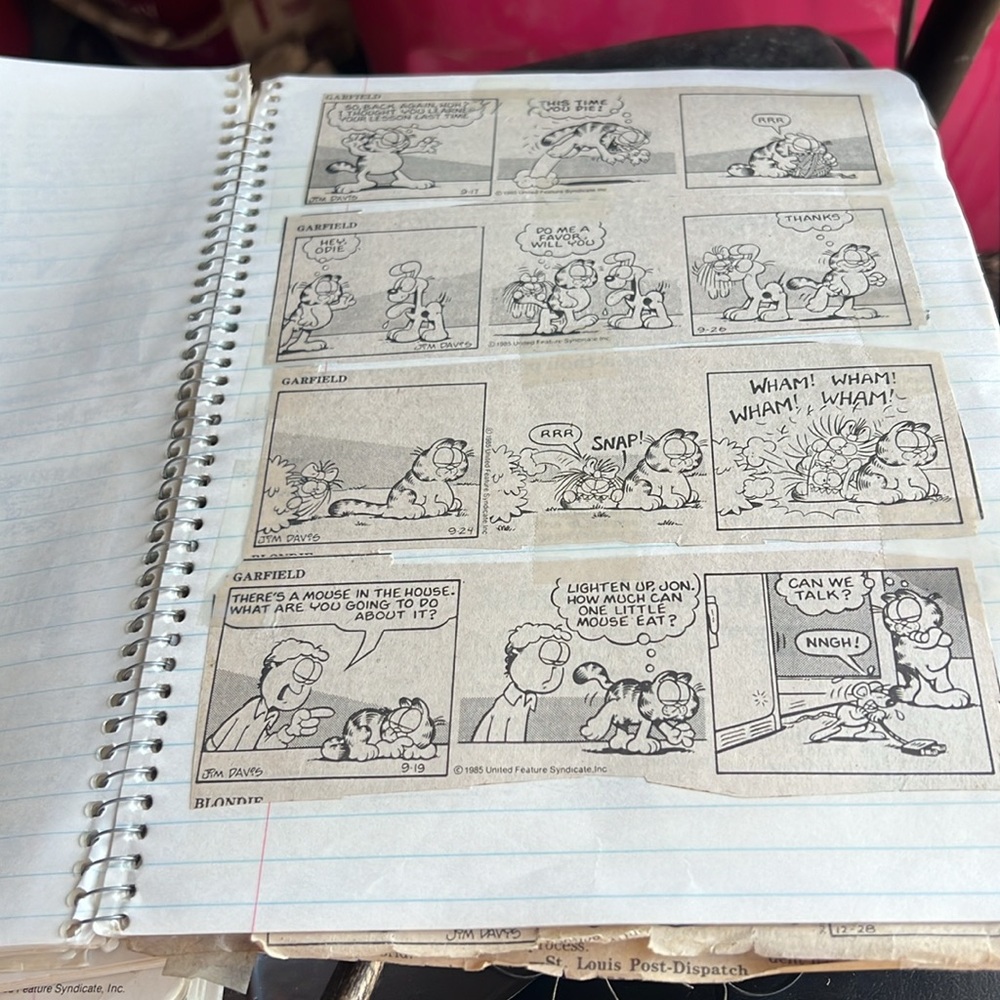 Garfield - Picture 5 of 5